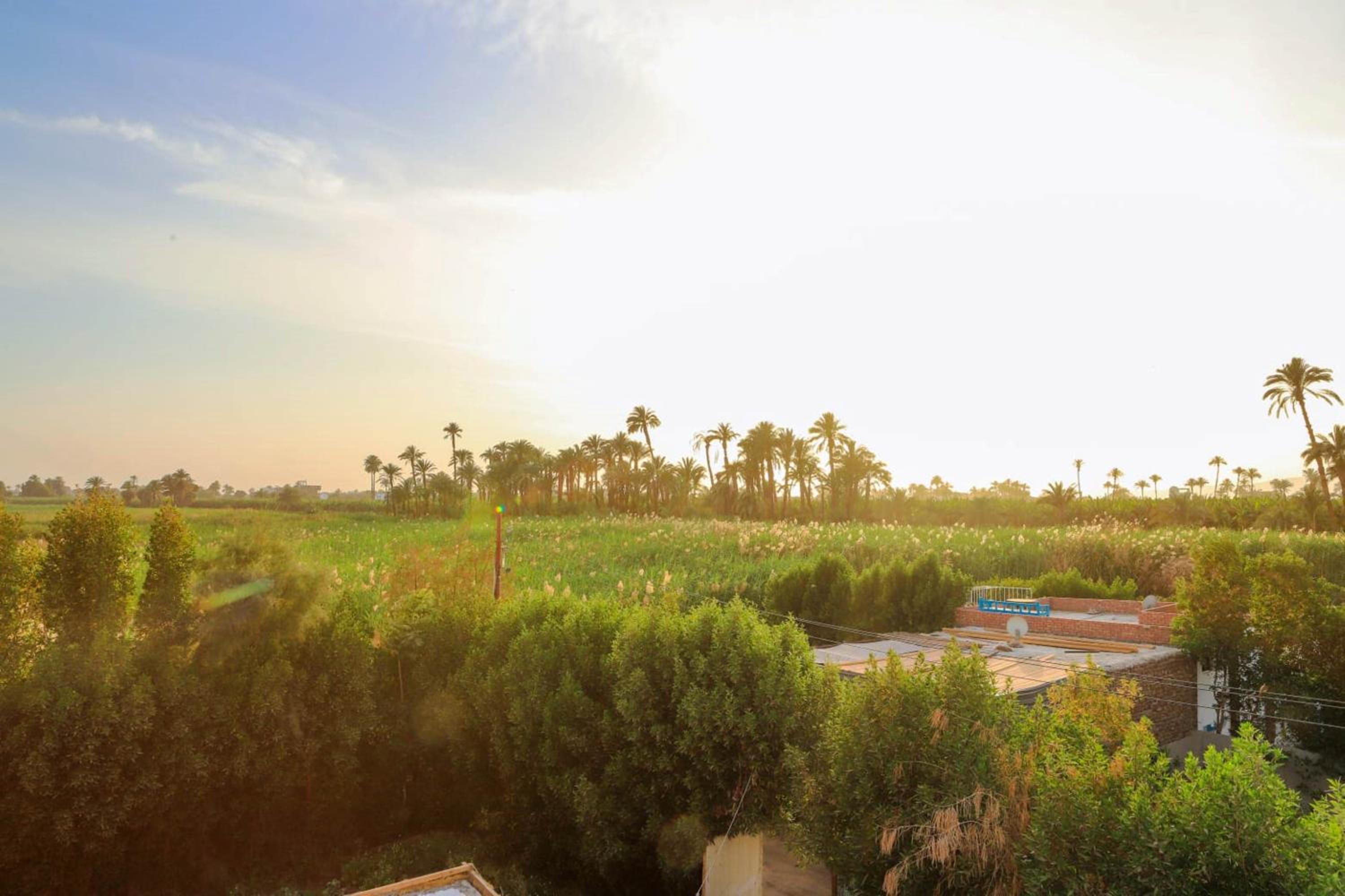 Happiness Guest House