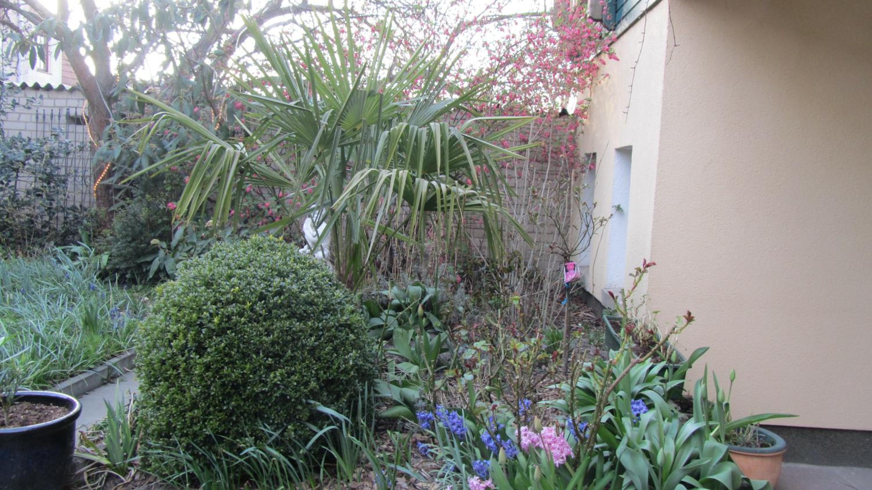 Photo 27