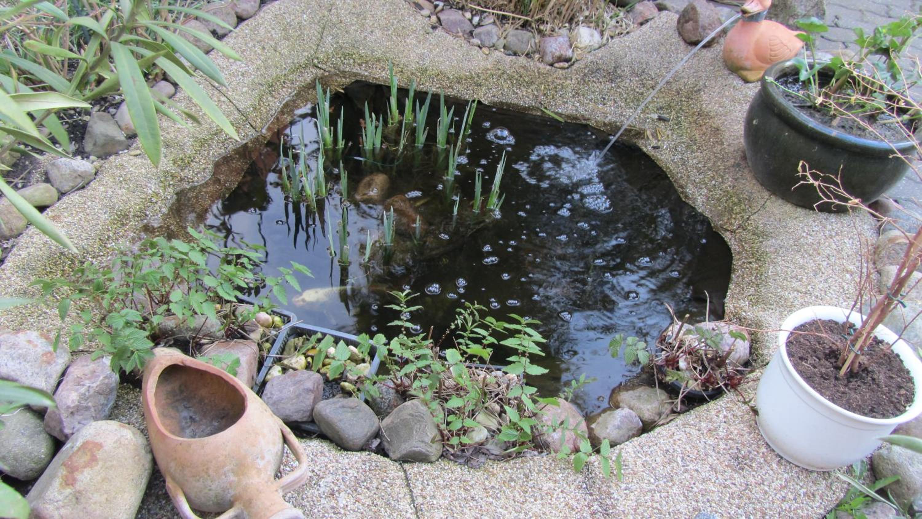 Photo 28