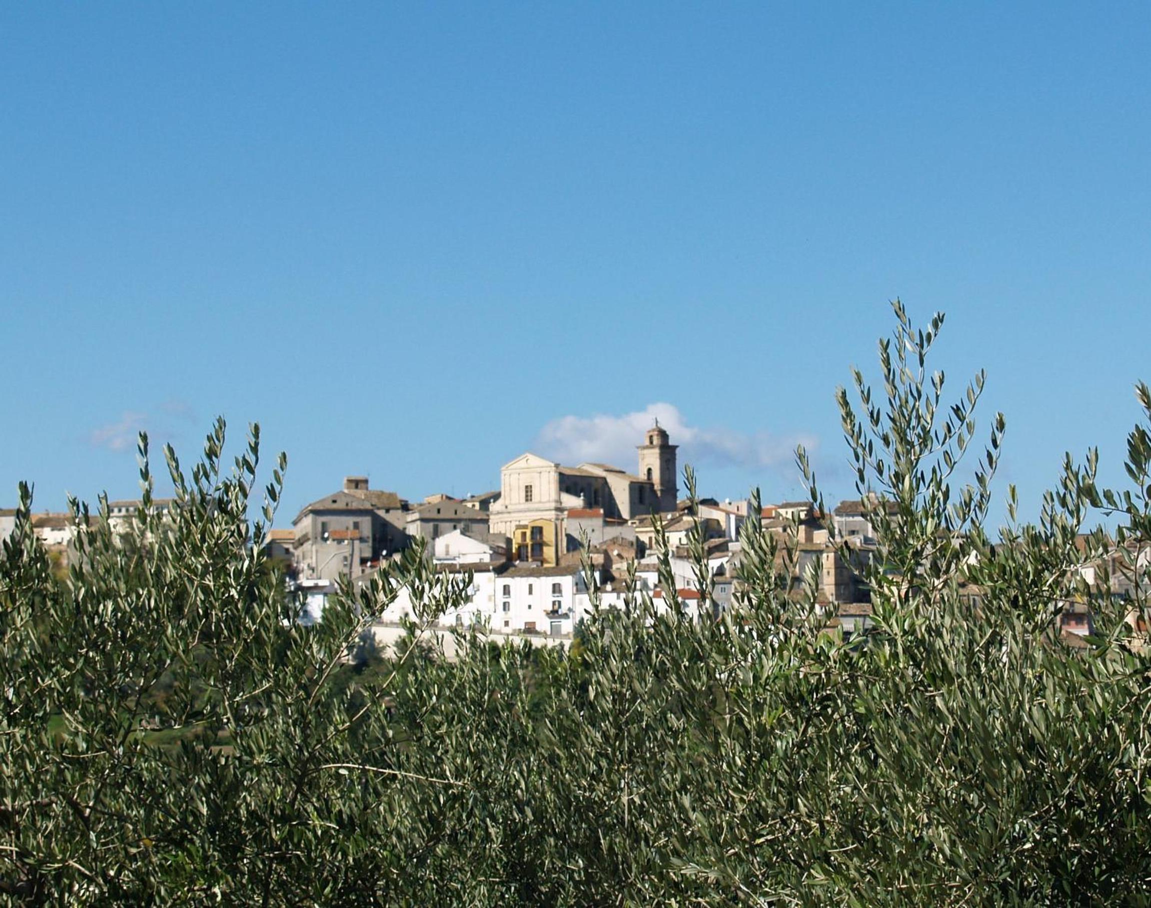 Photo 25