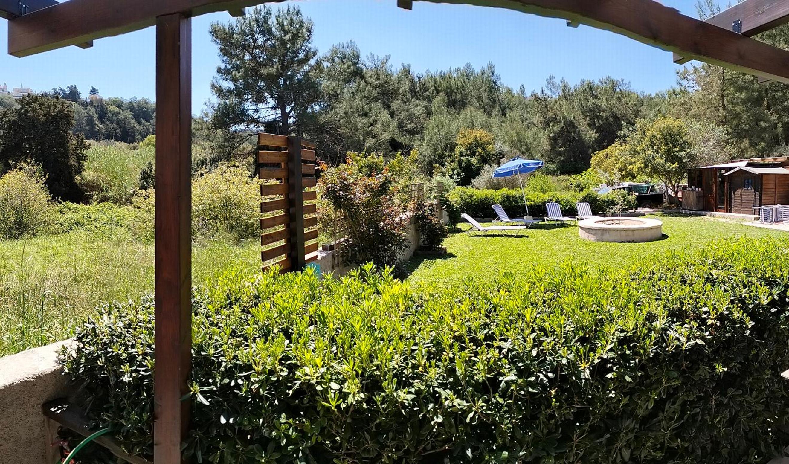 Green Heaven