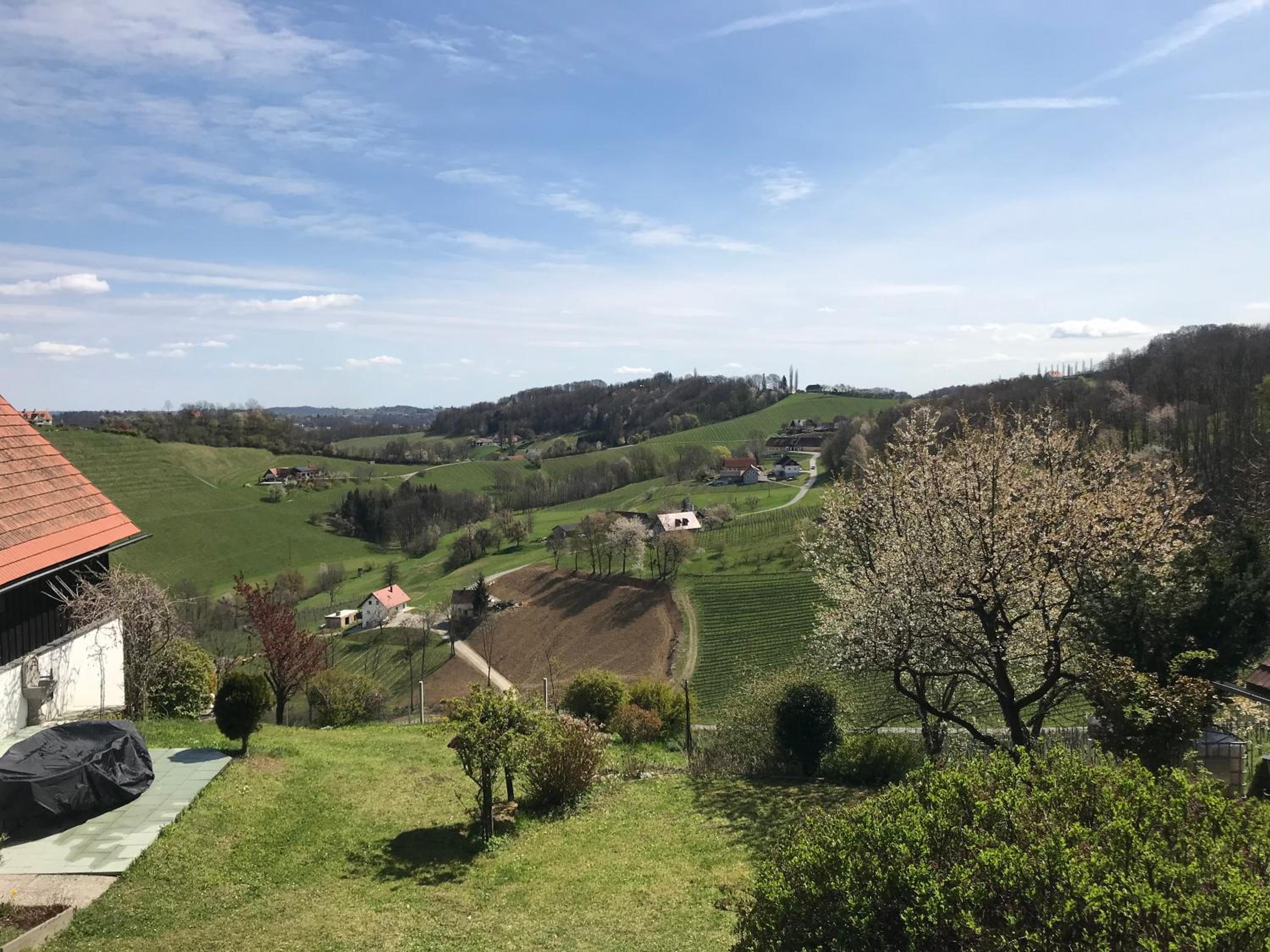 Das Winzerhaus am Grassnitzberg