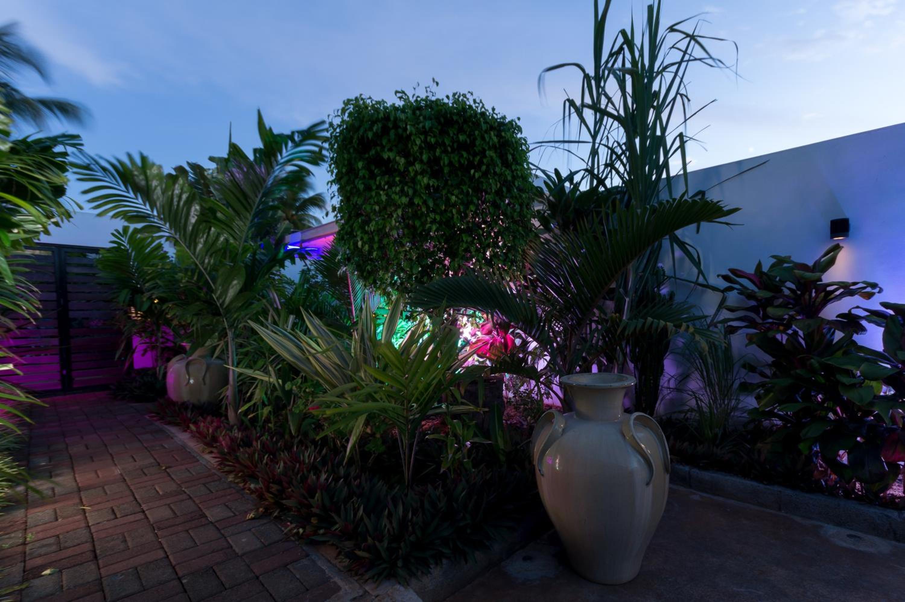 Villa Alizée Boutique Hotel - Idéal Couples & Pros - Rooftop