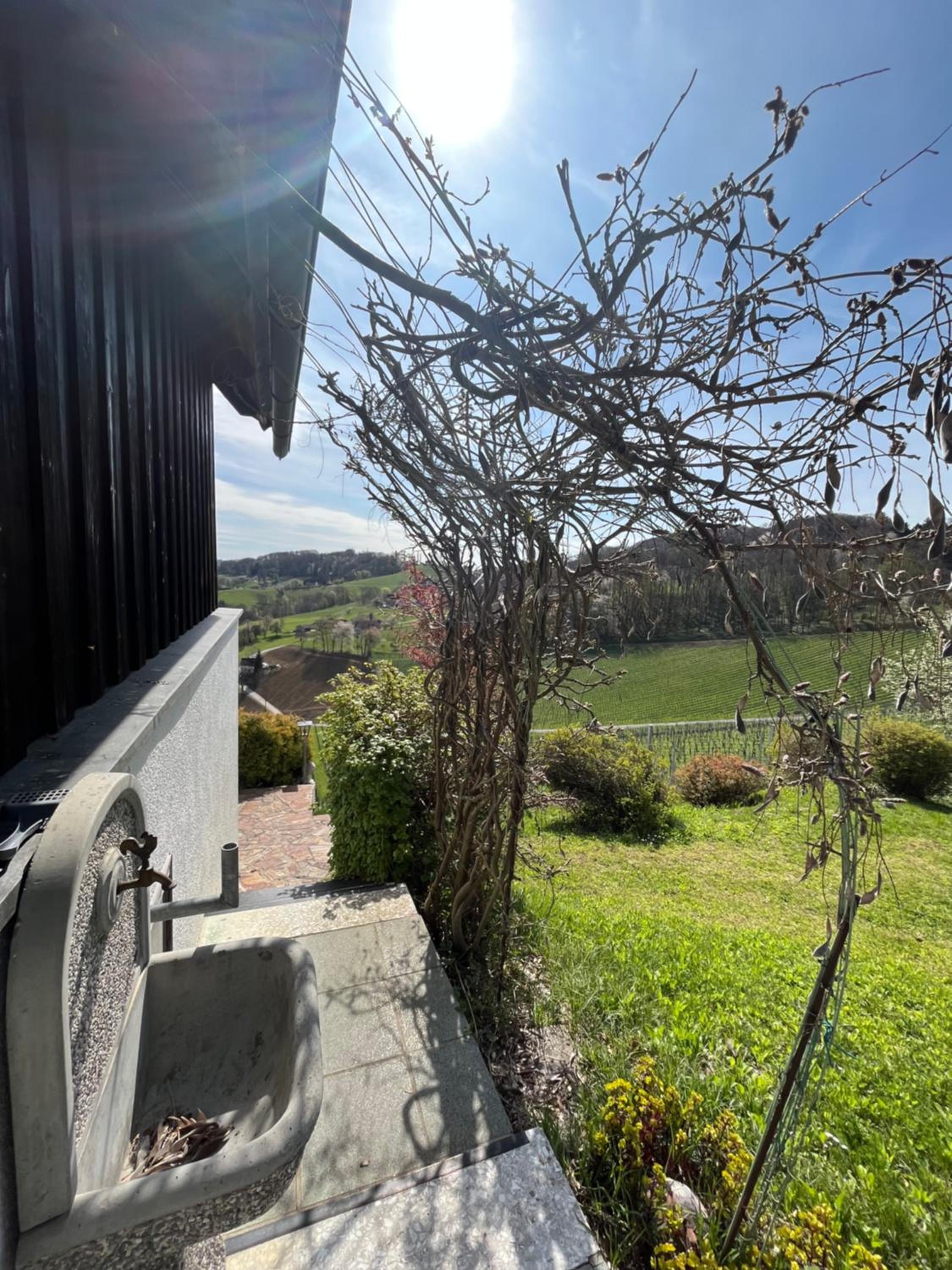 Das Winzerhaus am Grassnitzberg
