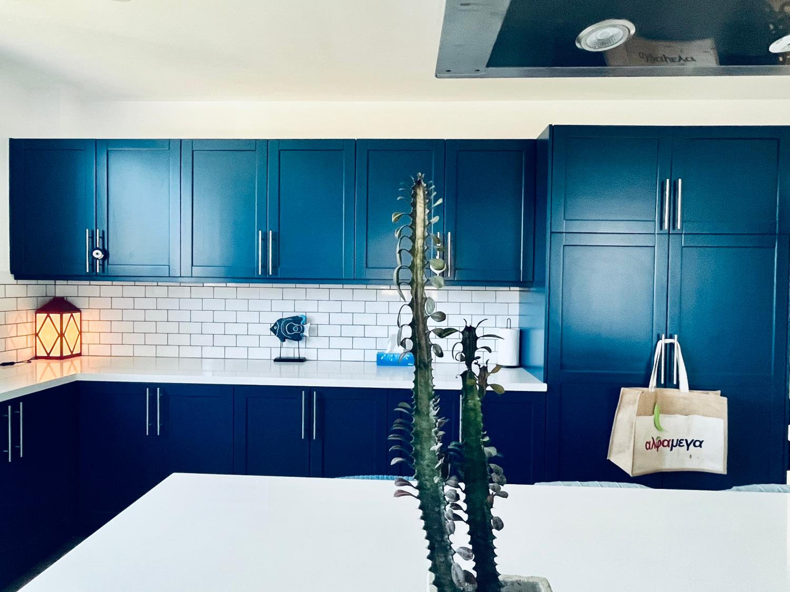 The Blue House