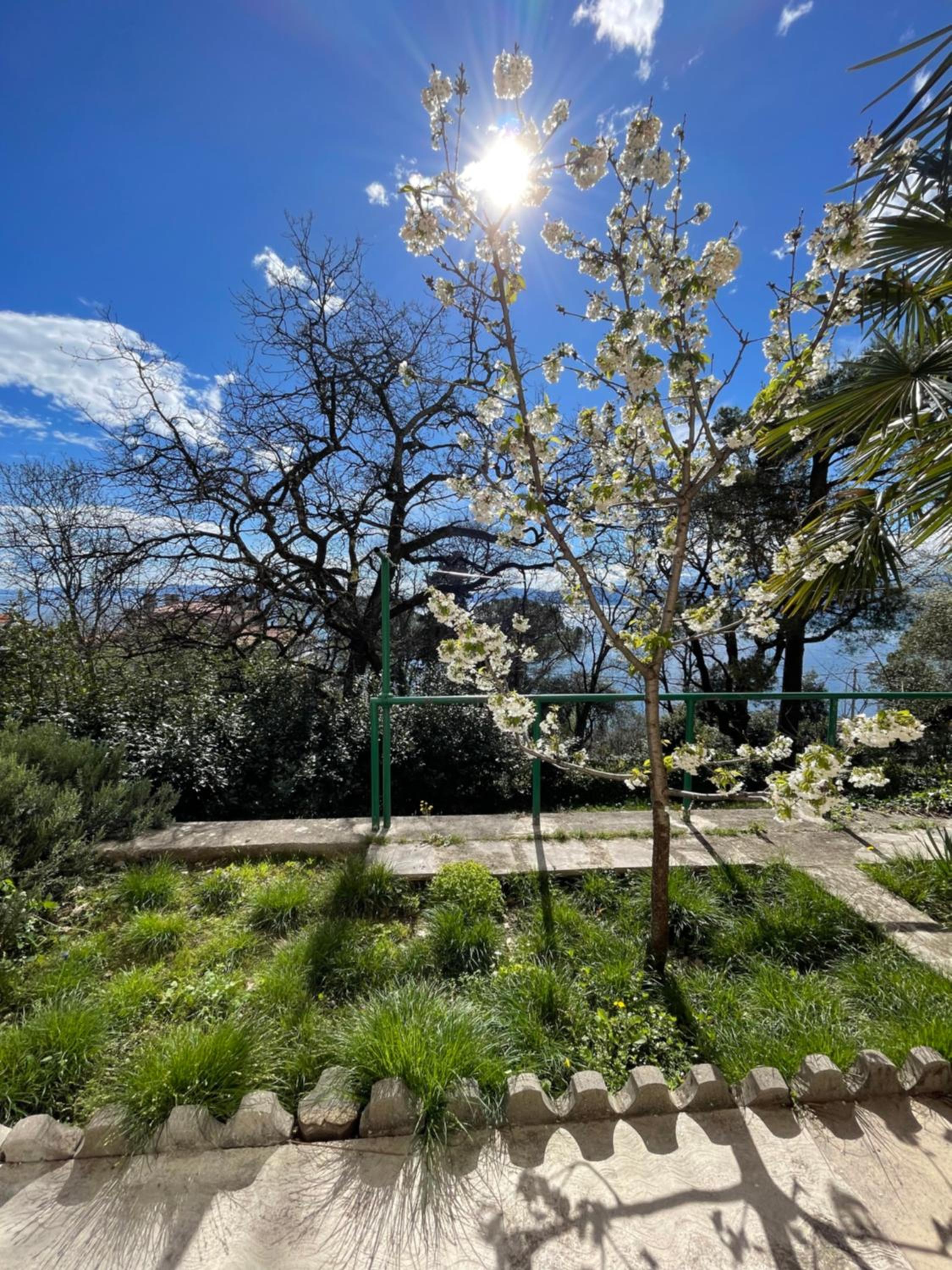 Hotel Apartment Kamov - Image 1