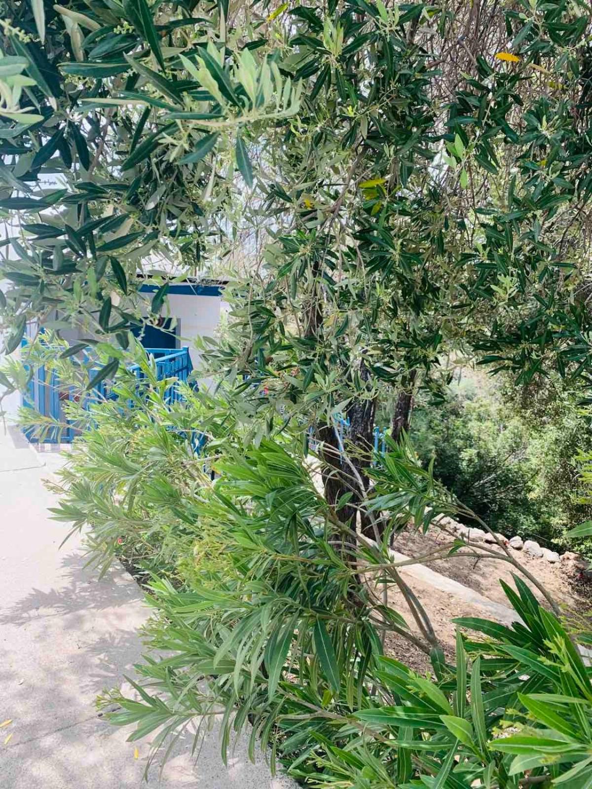 Hotel Villa Bellina - Image 1