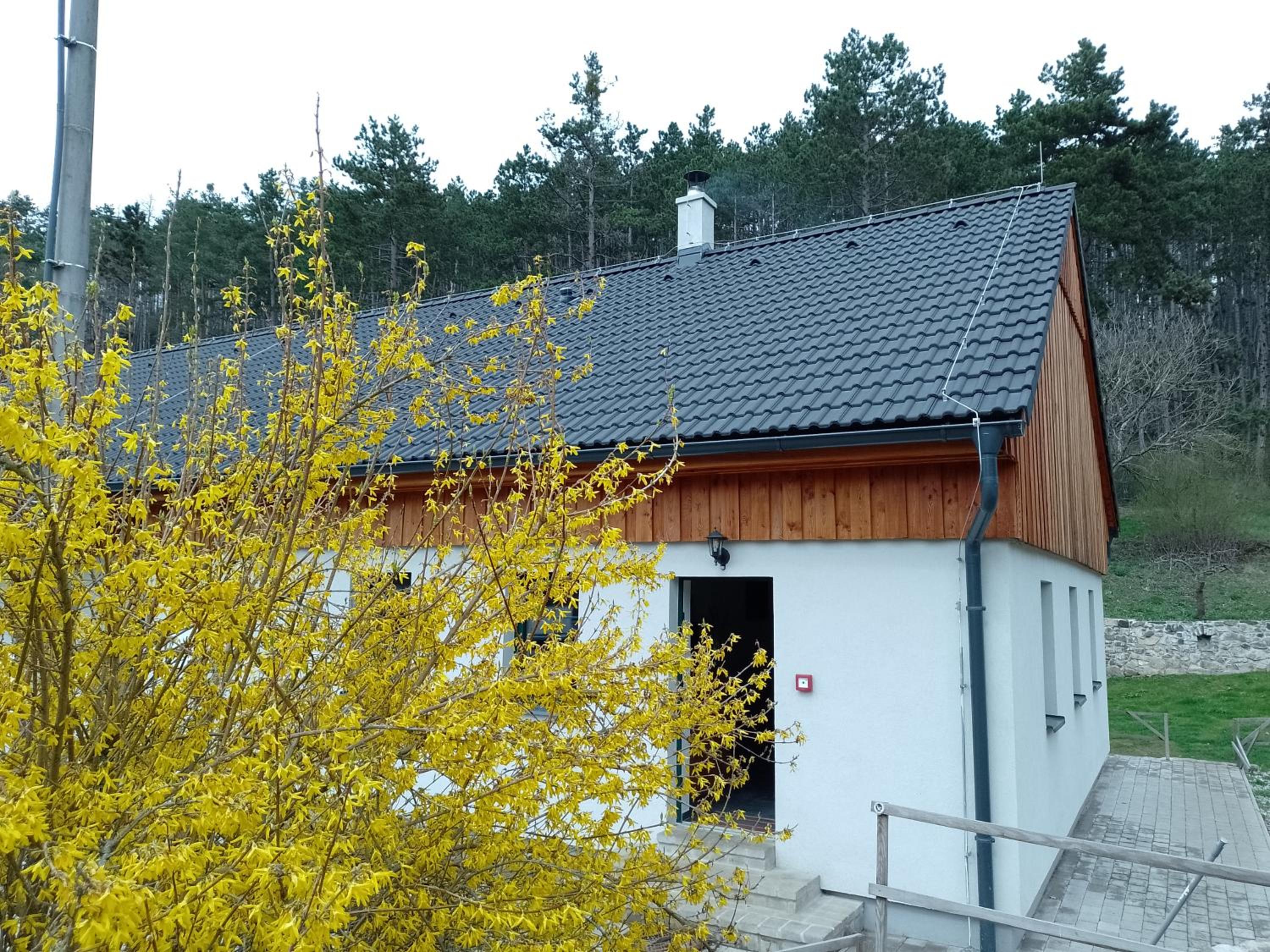 Penzion Litohlavy 17 - Na samotě u lesa