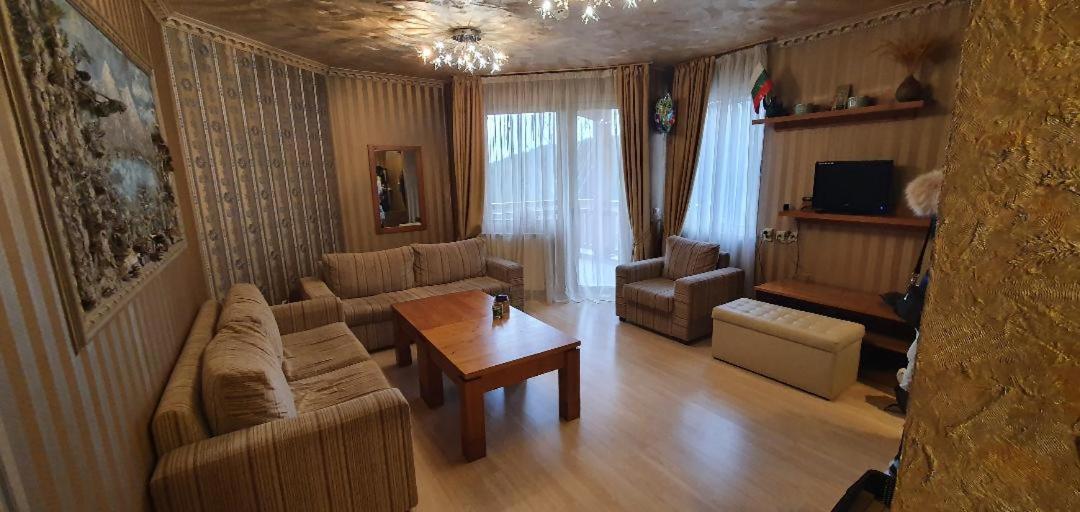 Harriet Hill Designer Bansko