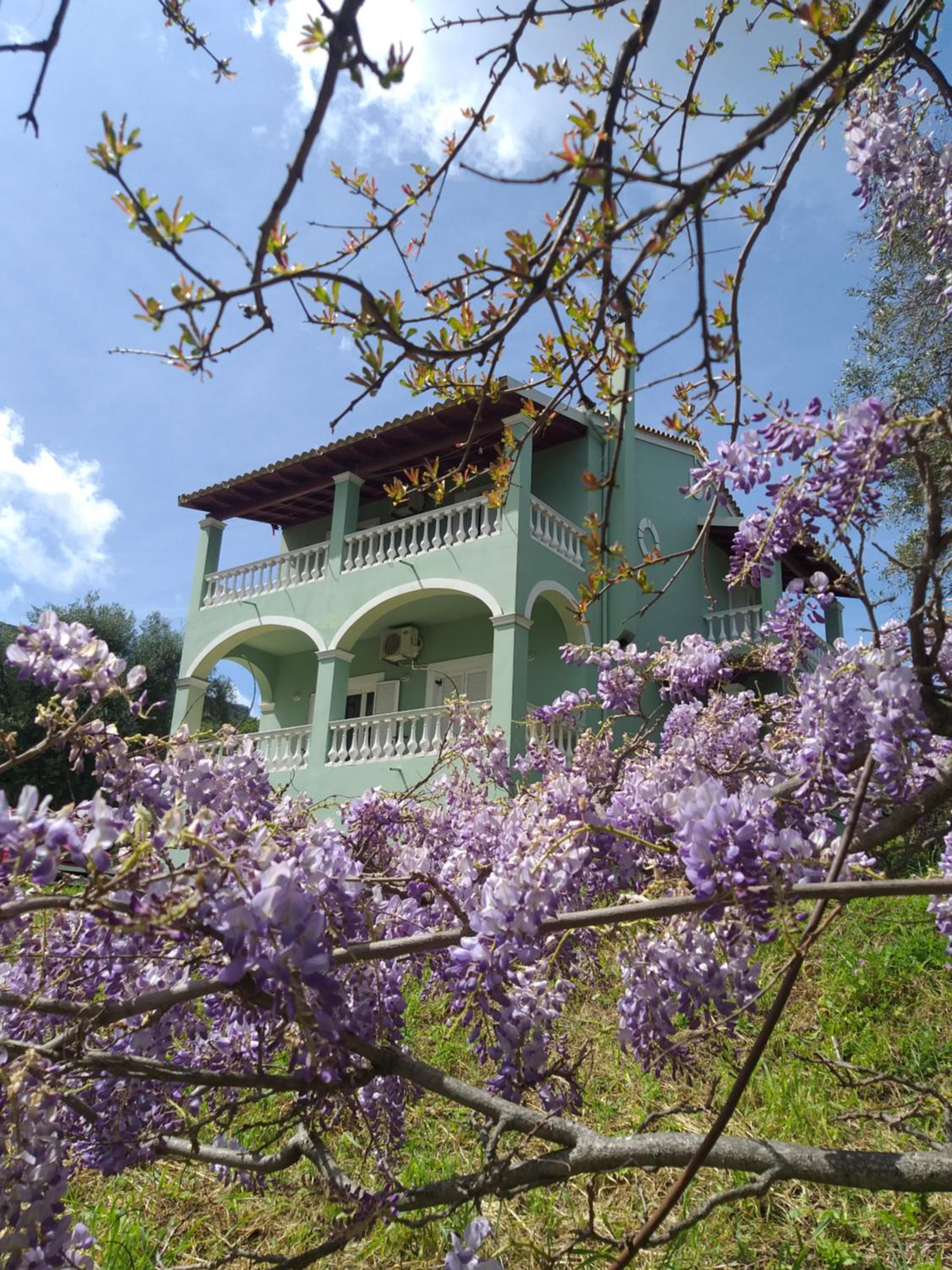Green Hill House view 3