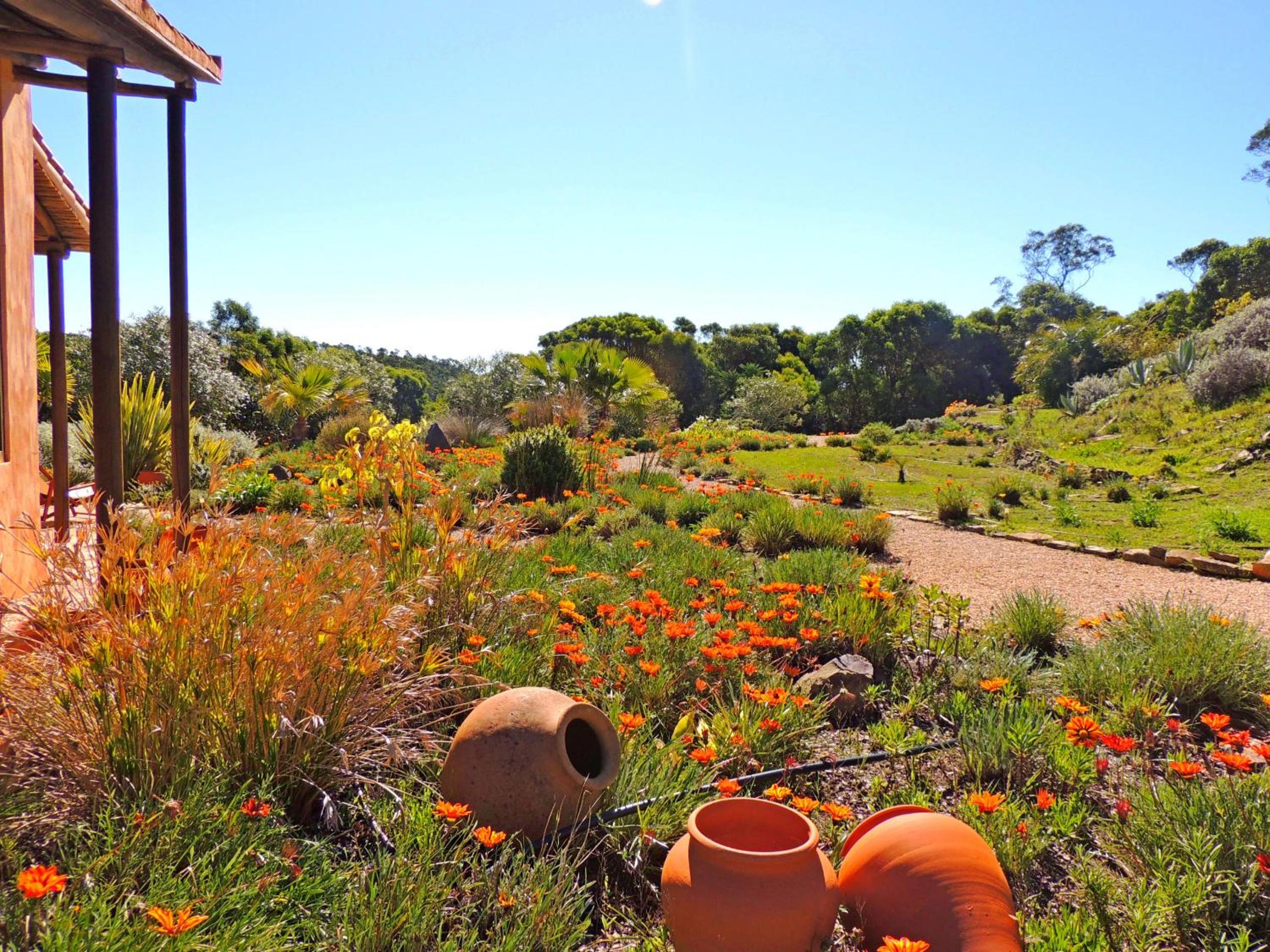 Casa dos Sonhos, private terrace, quiet location, walking to village, ecological pool, pets considered, nature friendly view 2