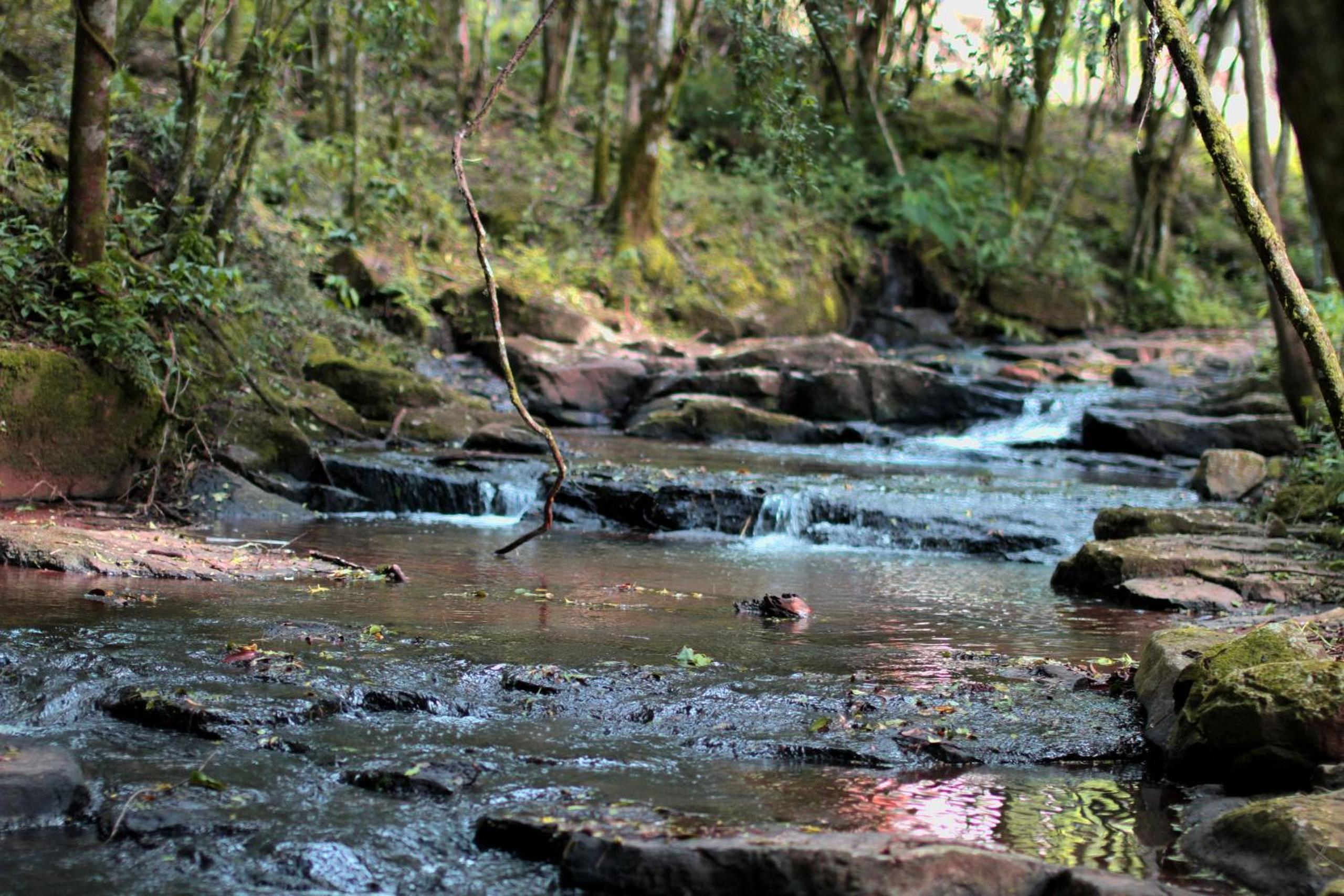 L'esperienza - Chalés completos - Ecoturismo