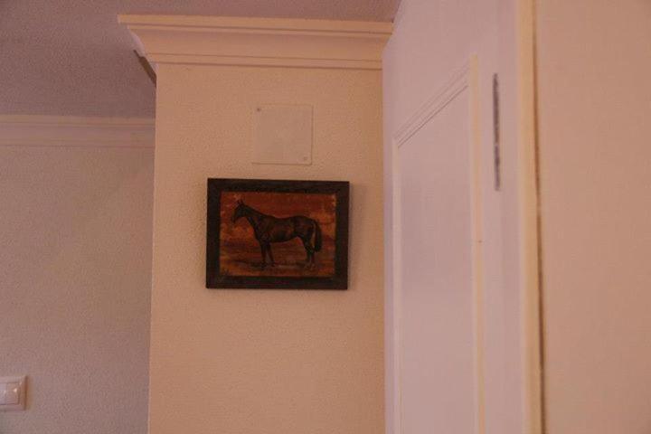 Photo 57