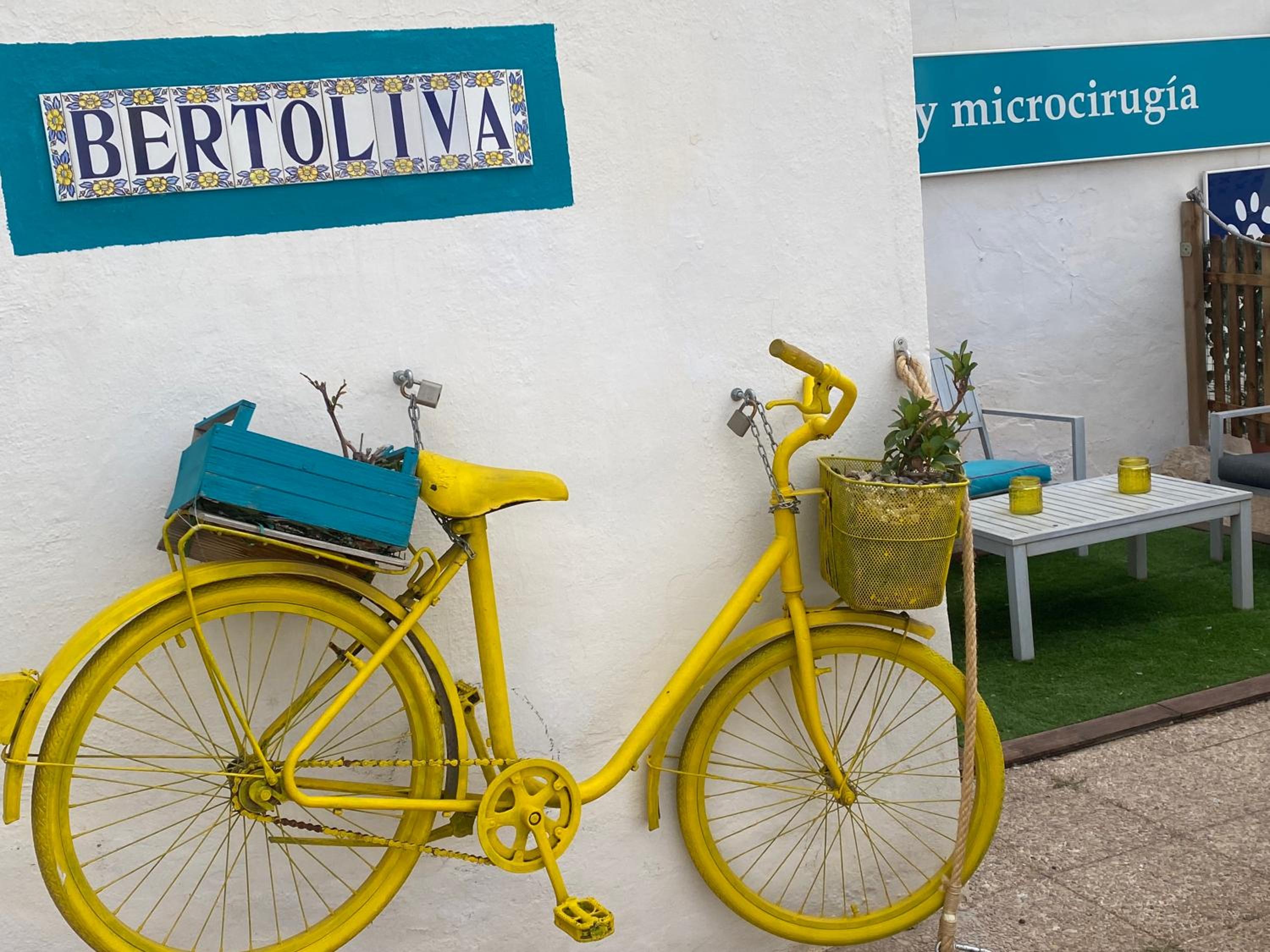 Bertoliva