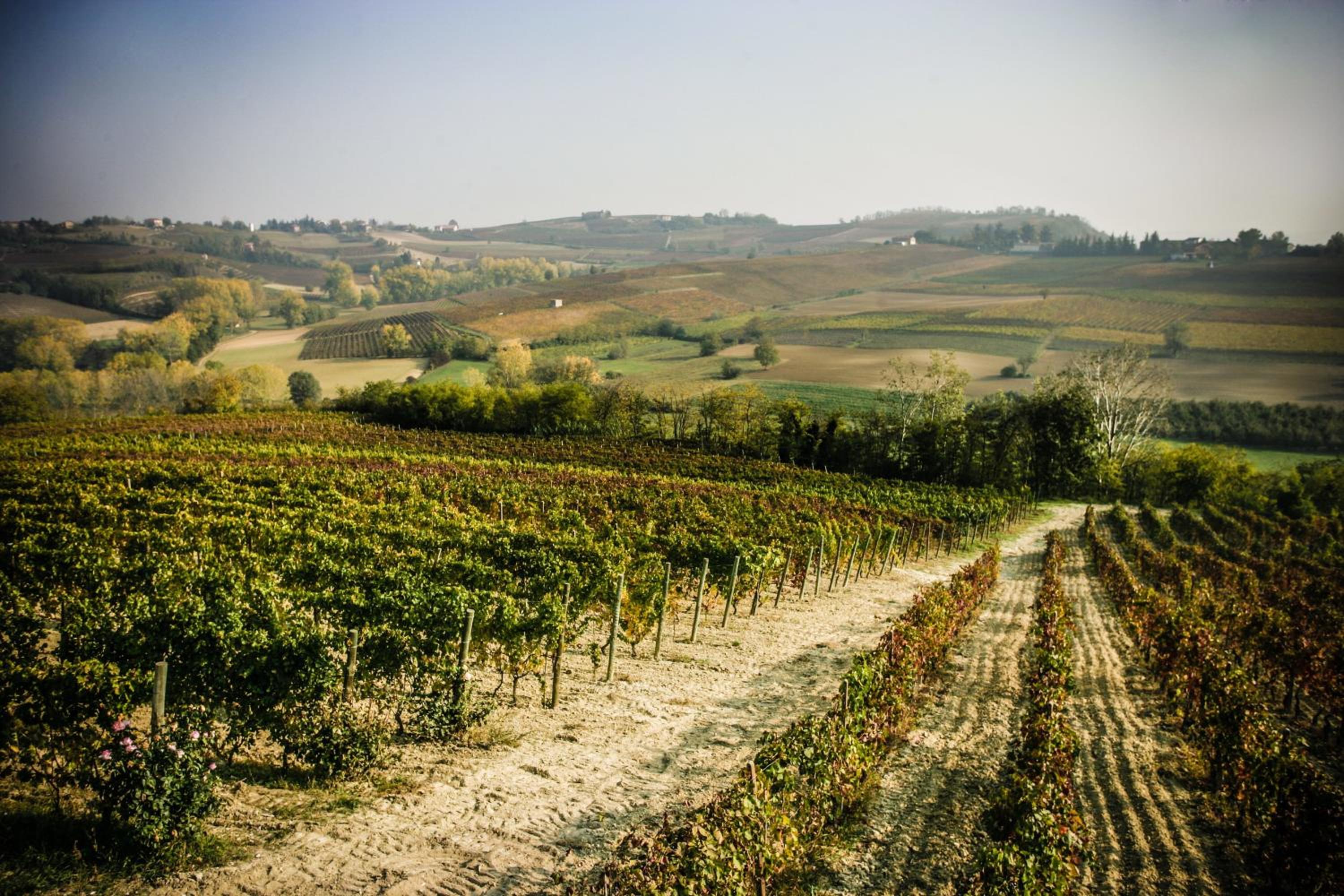 NaturalMente Wine Resort