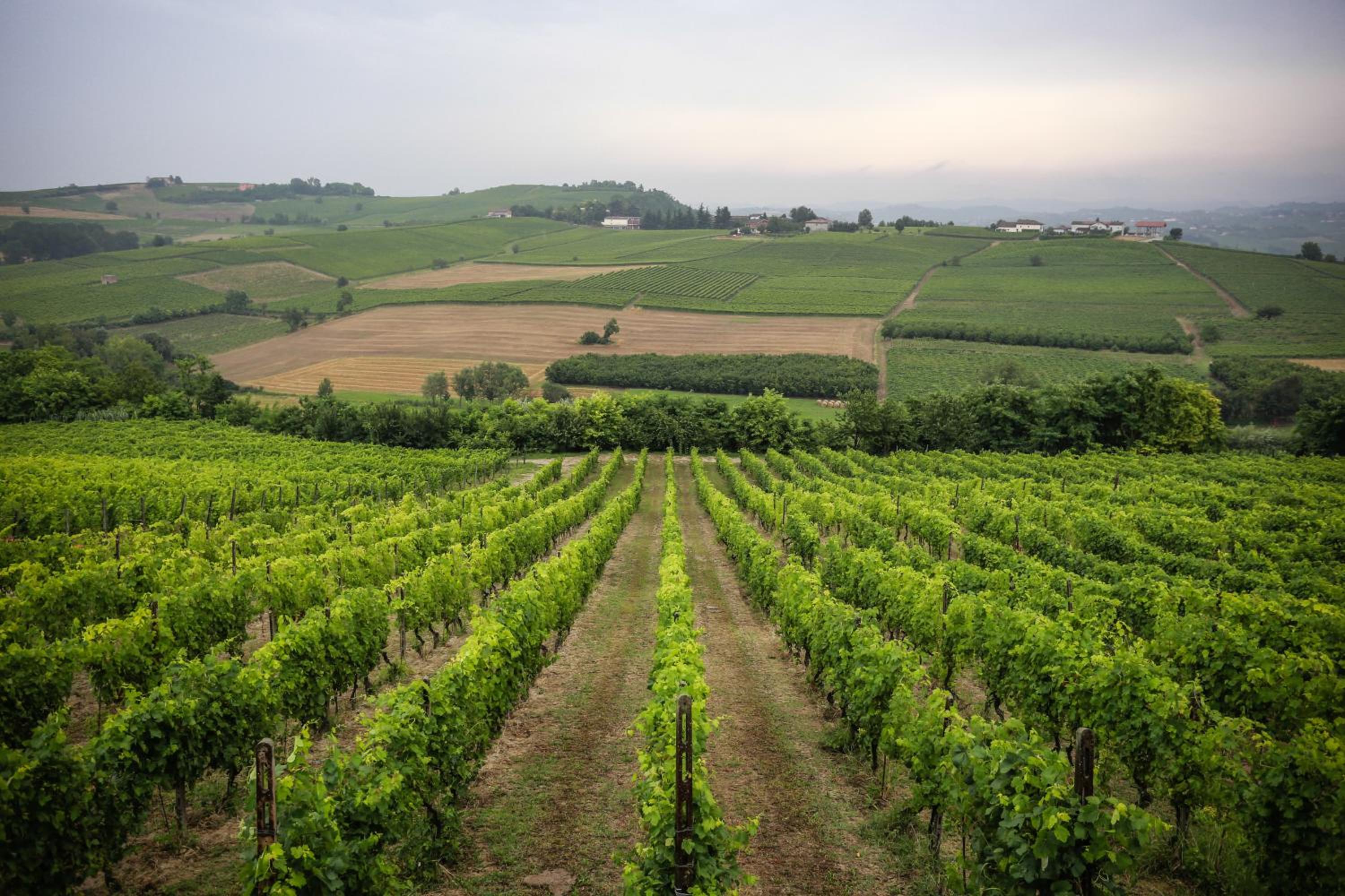 NaturalMente Wine Resort