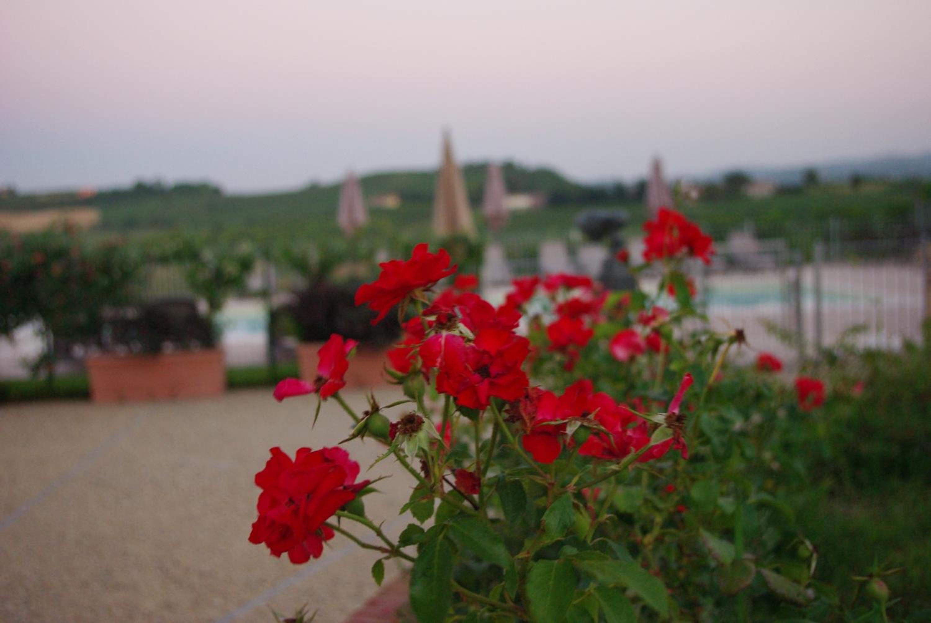 NaturalMente Wine Resort