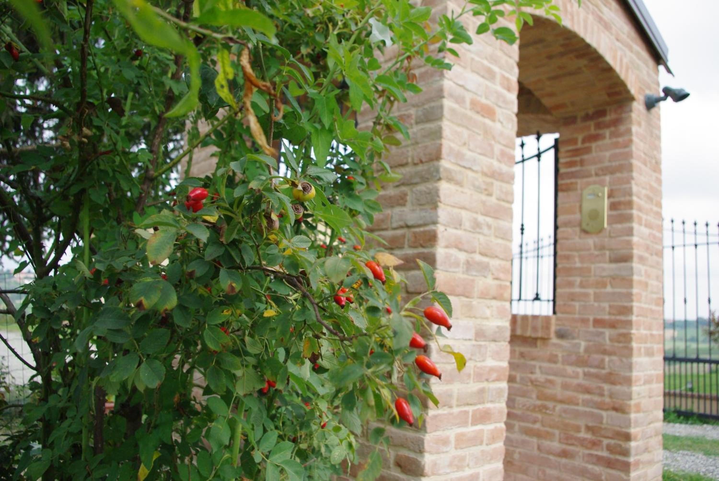 NaturalMente Wine Resort