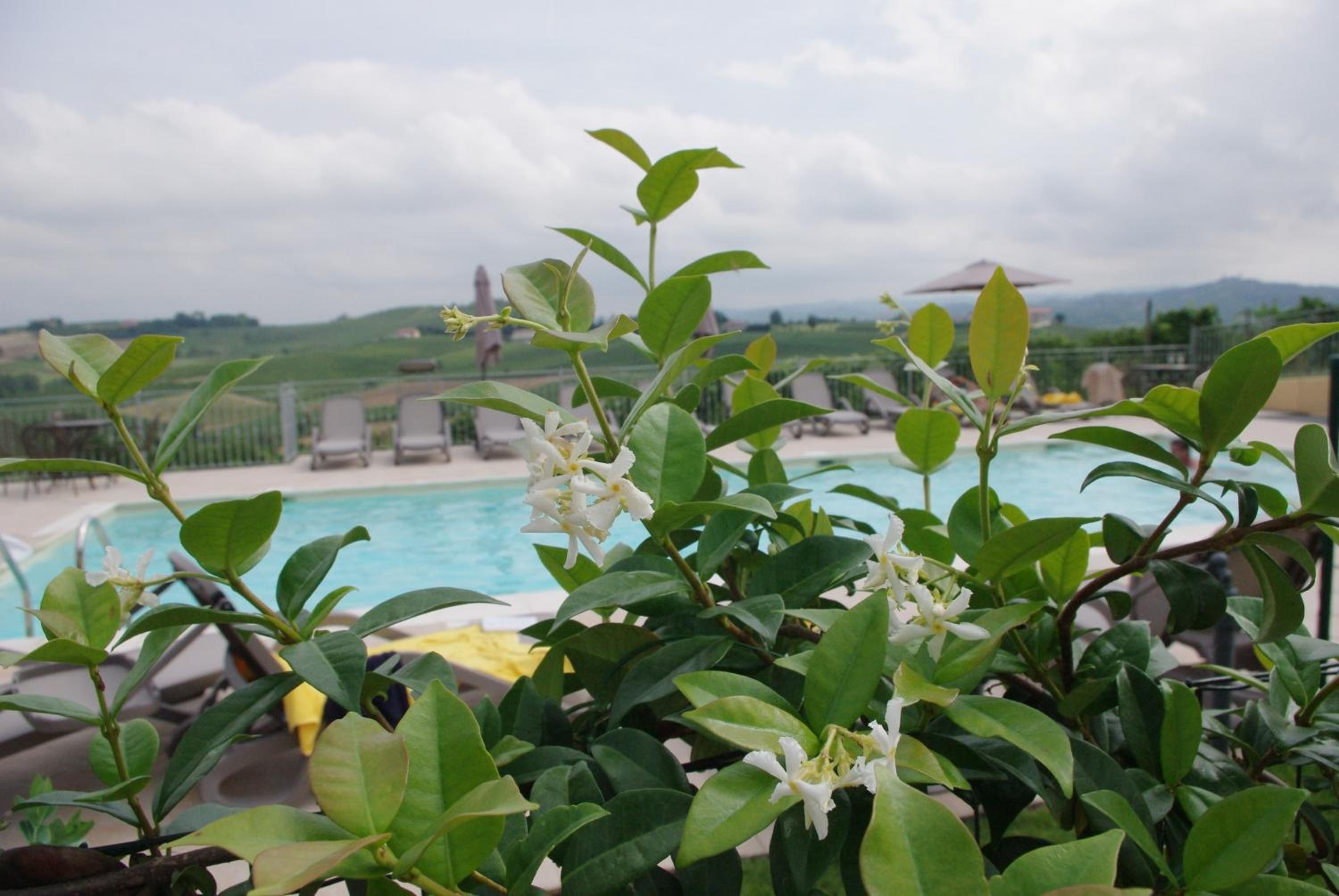 NaturalMente Wine Resort