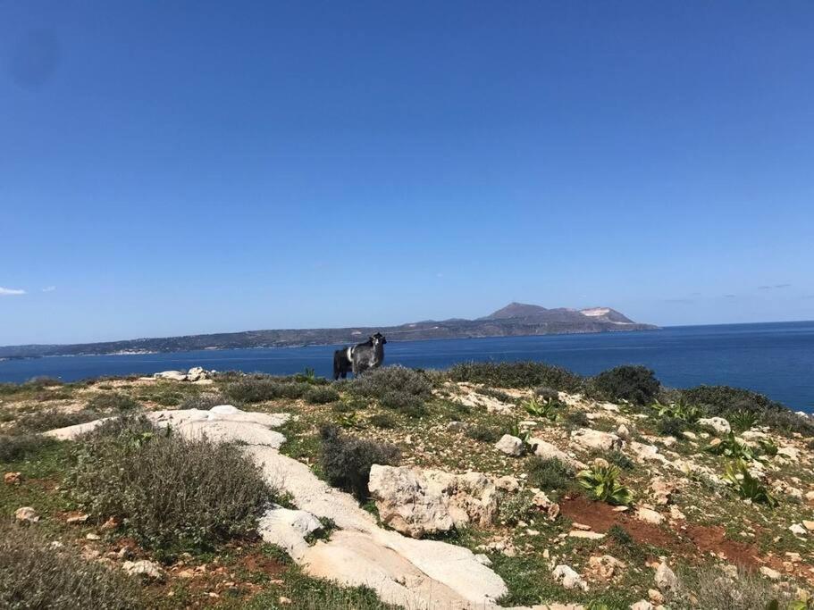 Villa Oceanus