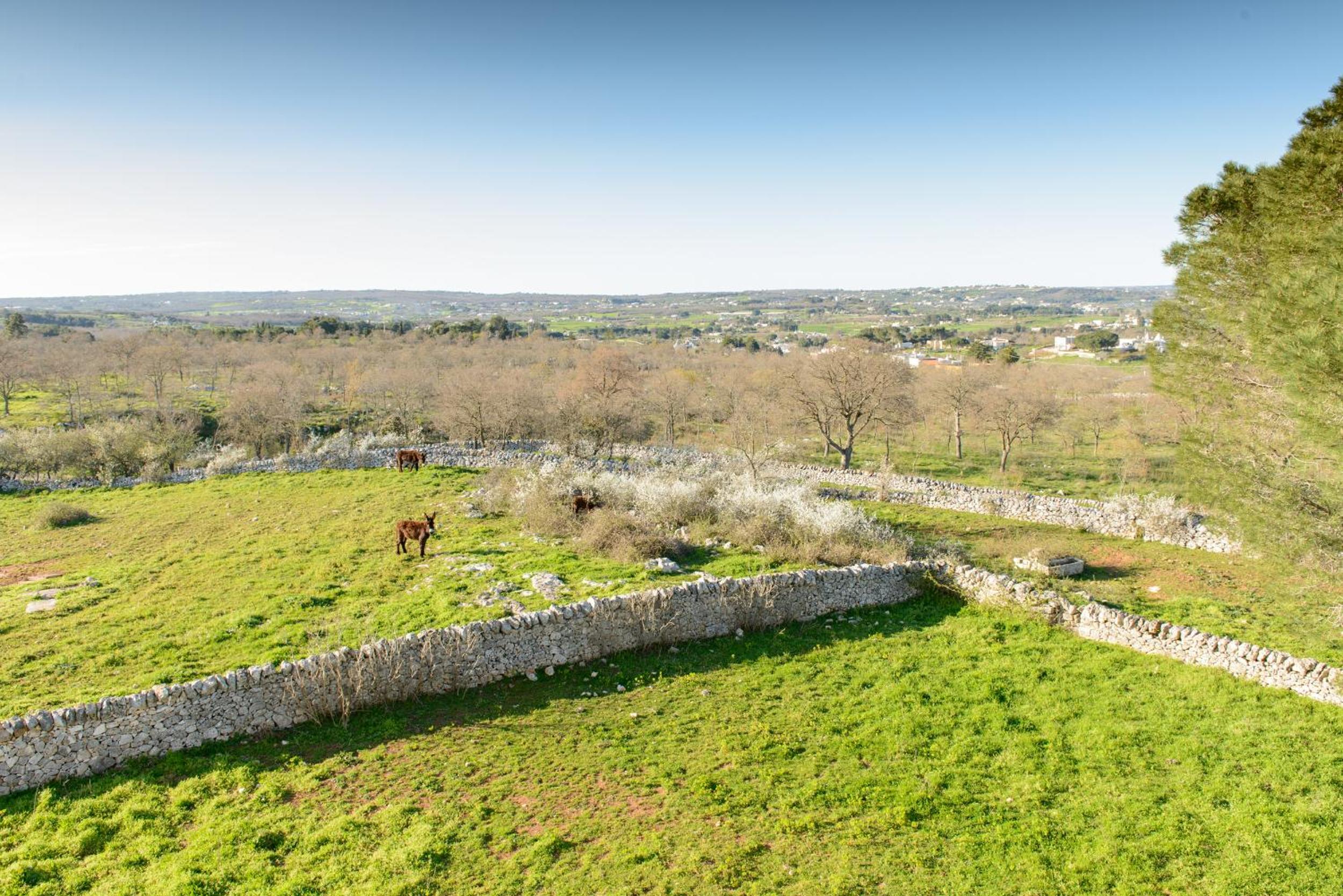 Masseria Pozzo Tre Pile