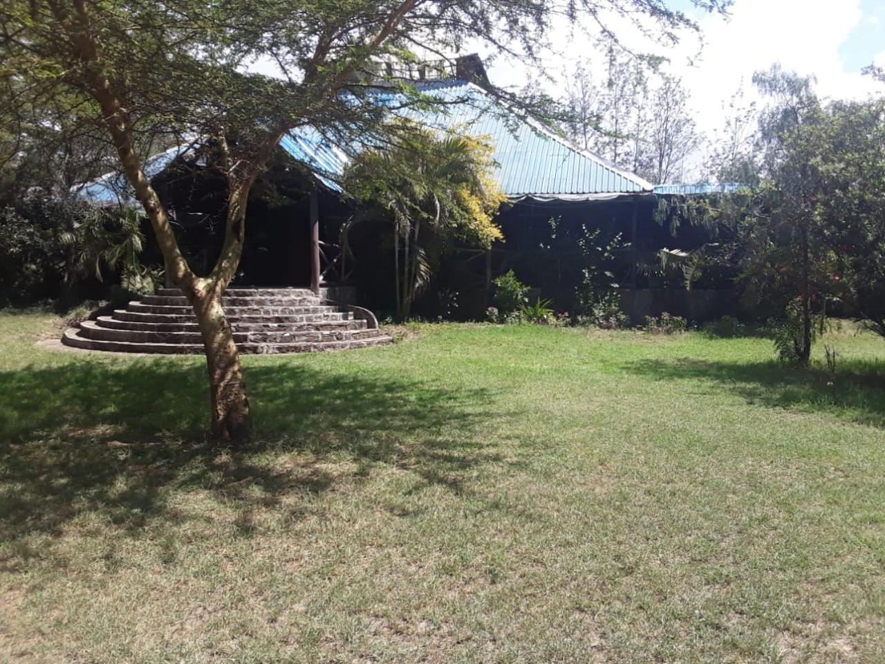 Cactus Eco Camp and Lodge