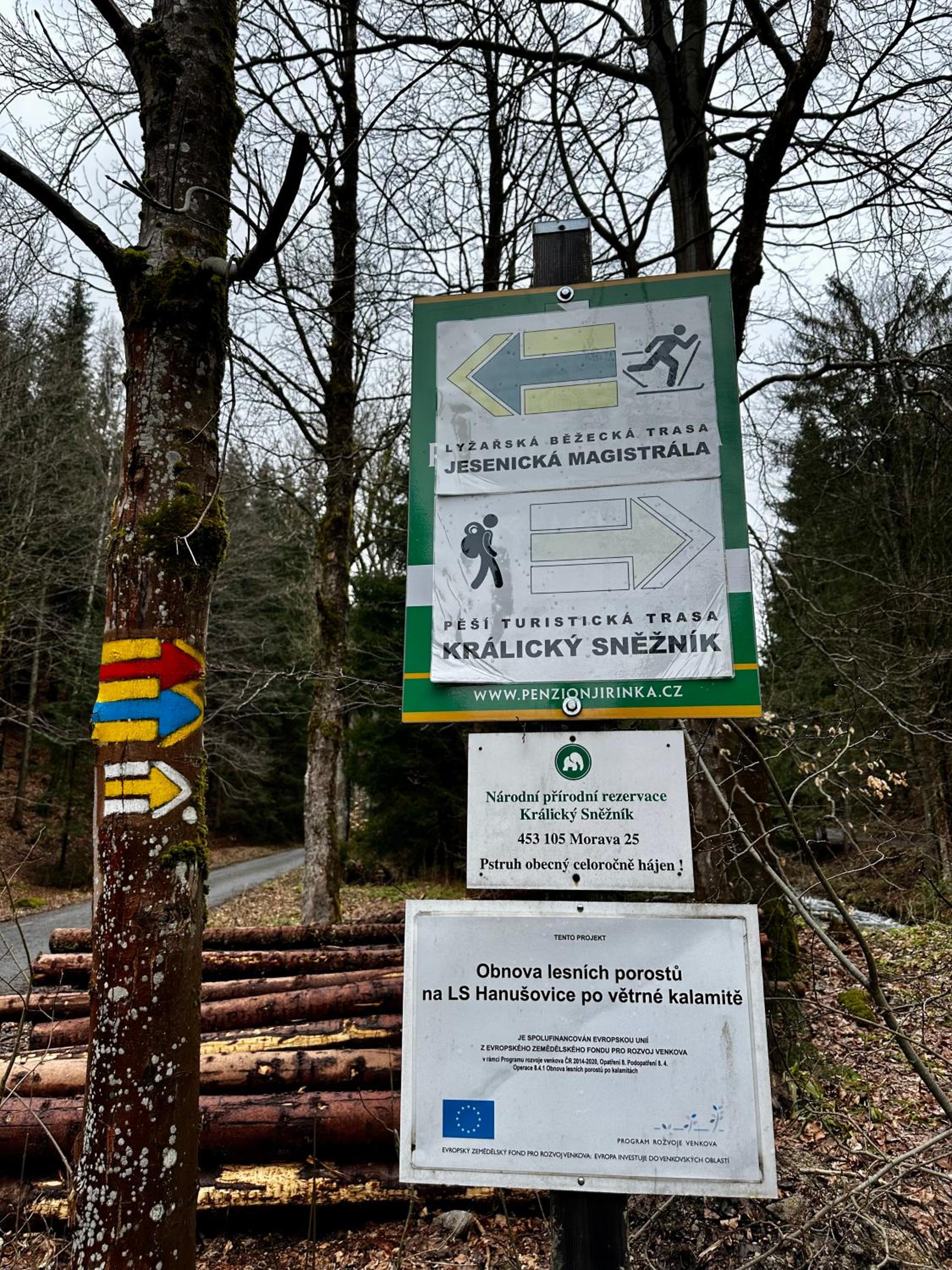 Apartmán U Jelena Dolní Morava