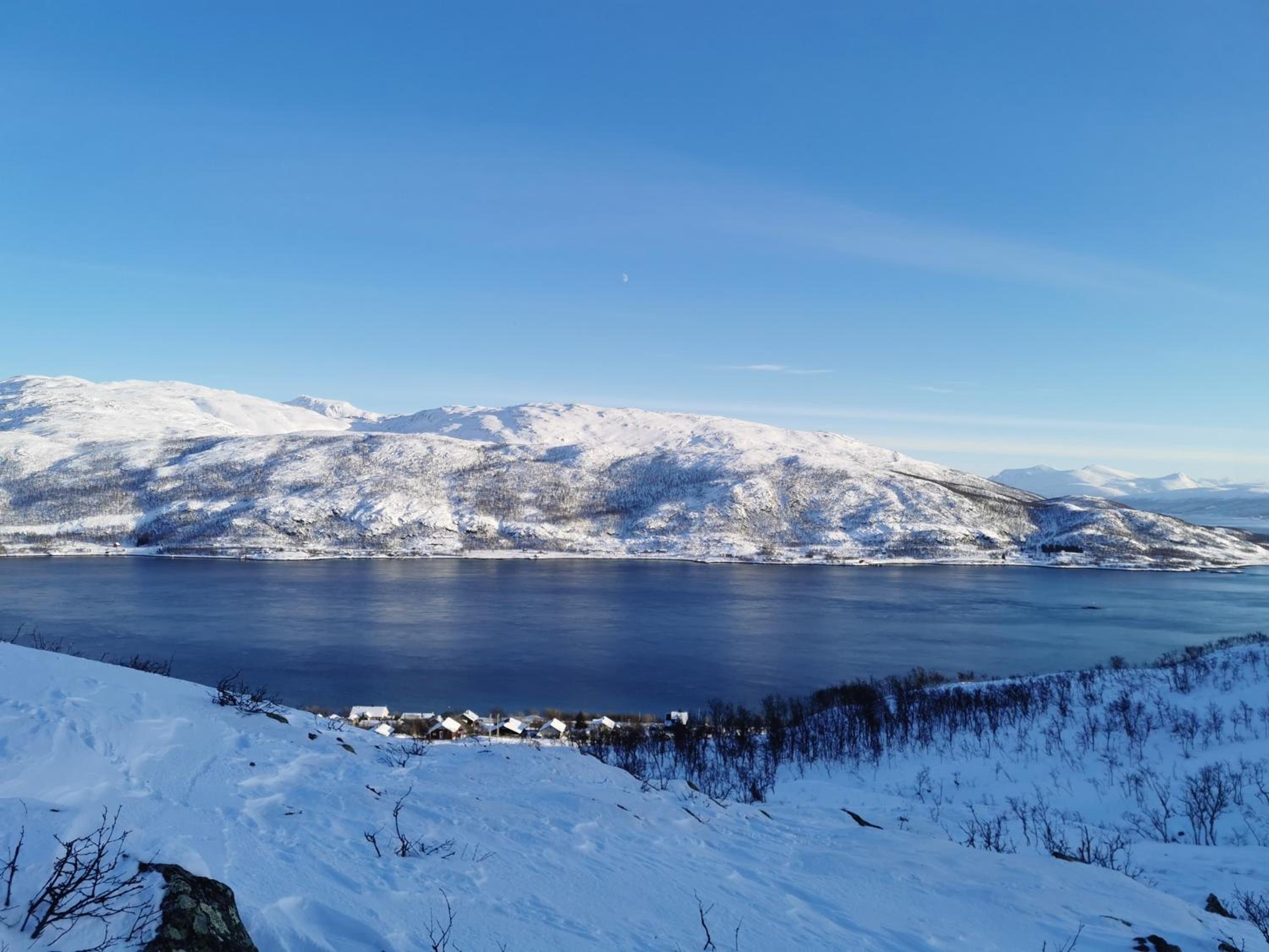 Loghouse apartment in arctic wonderland! view 2