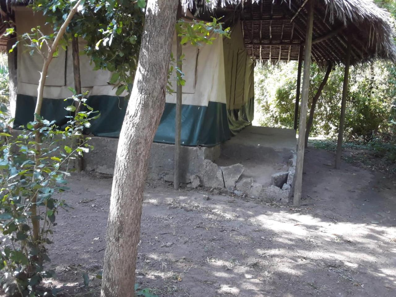 Cactus Eco Camp and Lodge