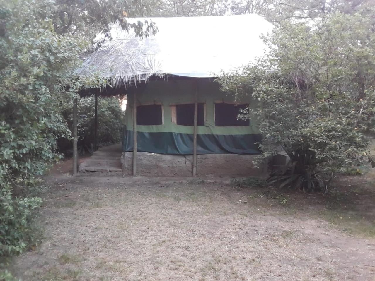Cactus Eco Camp and Lodge