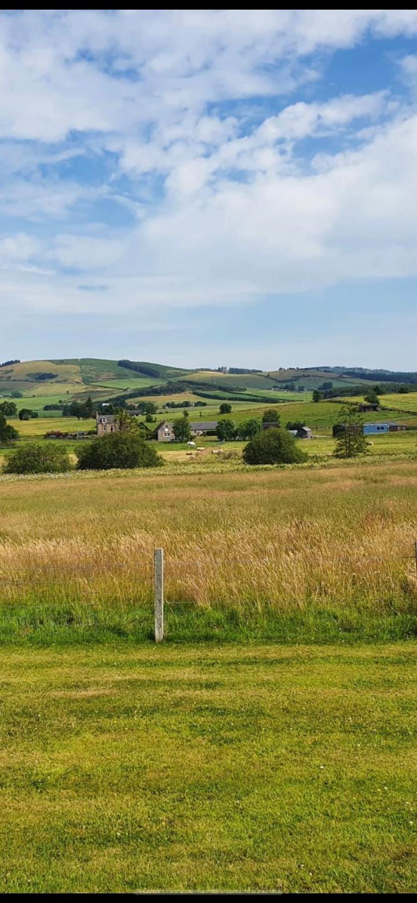 Birchwood View