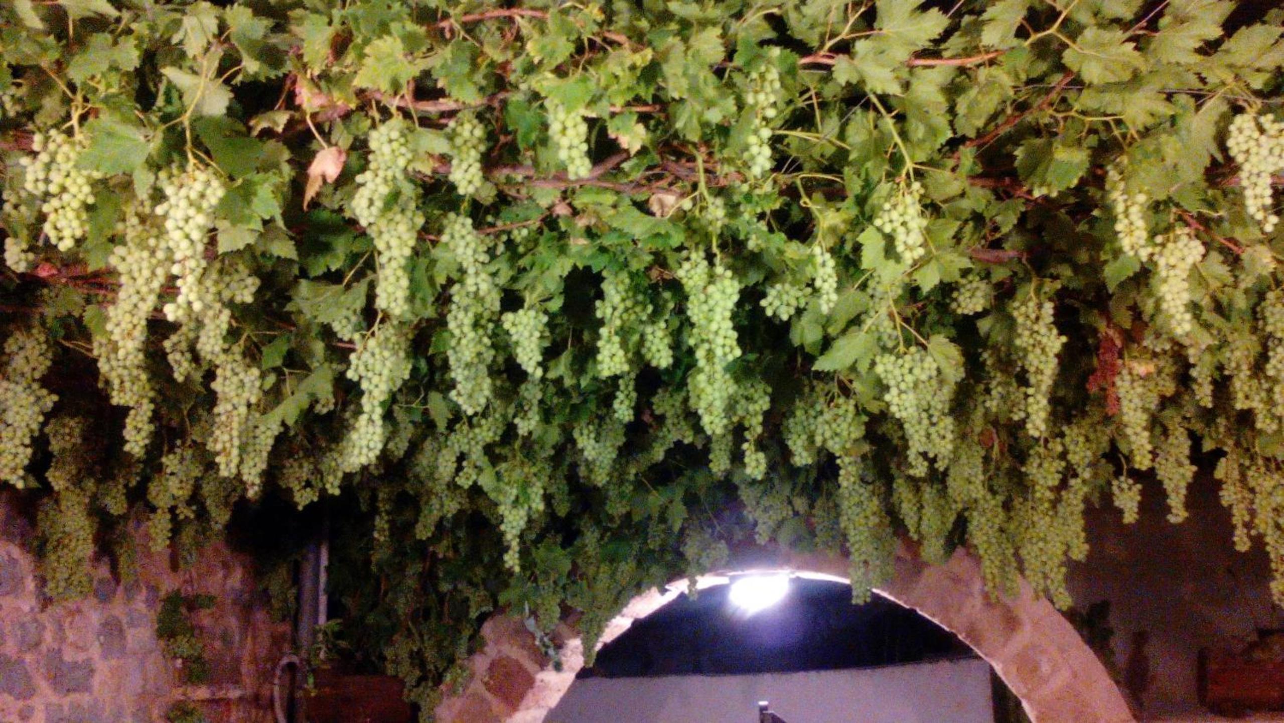 FILEMA HOME (stone house) view 3
