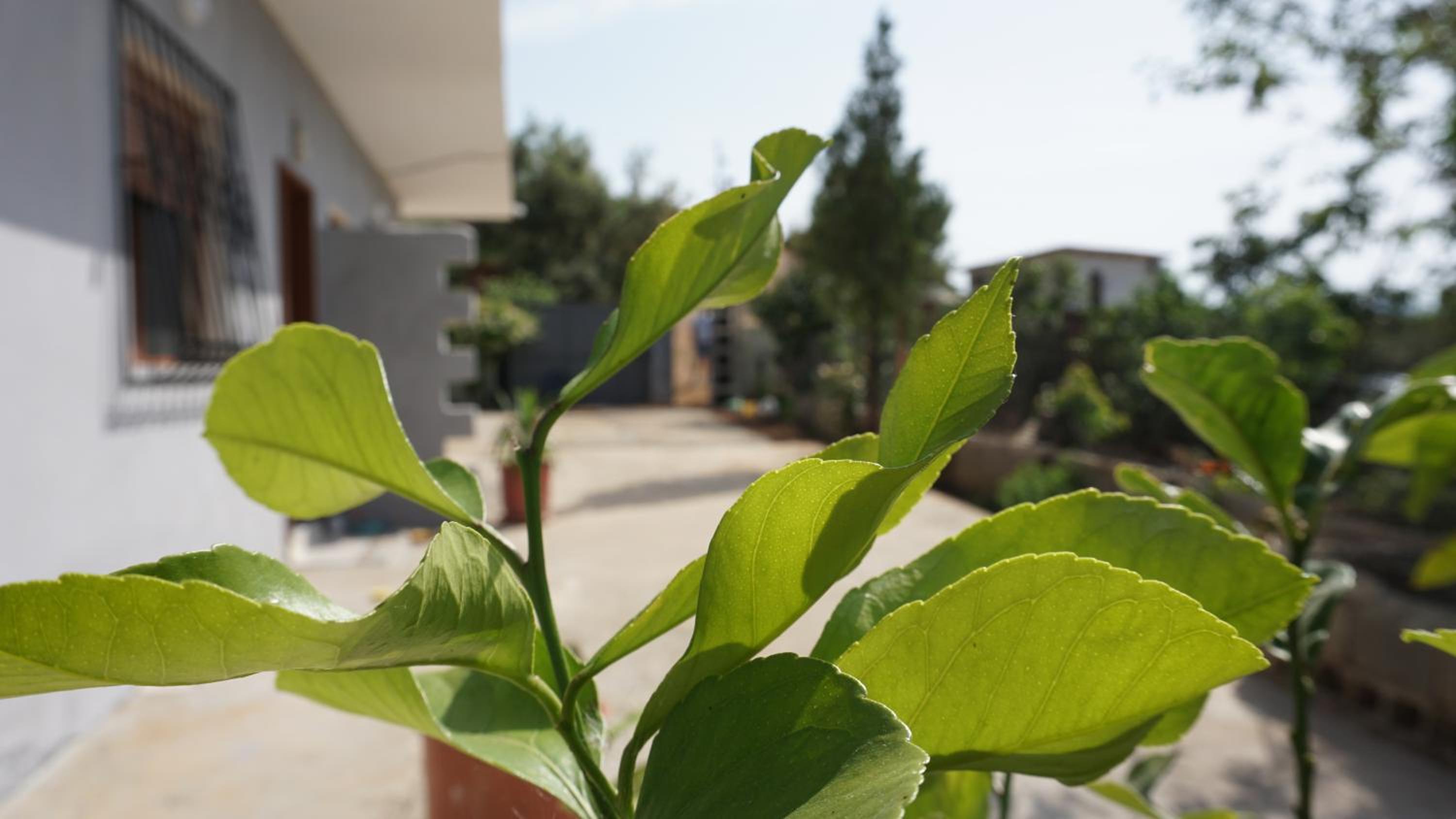 Markev Apartments