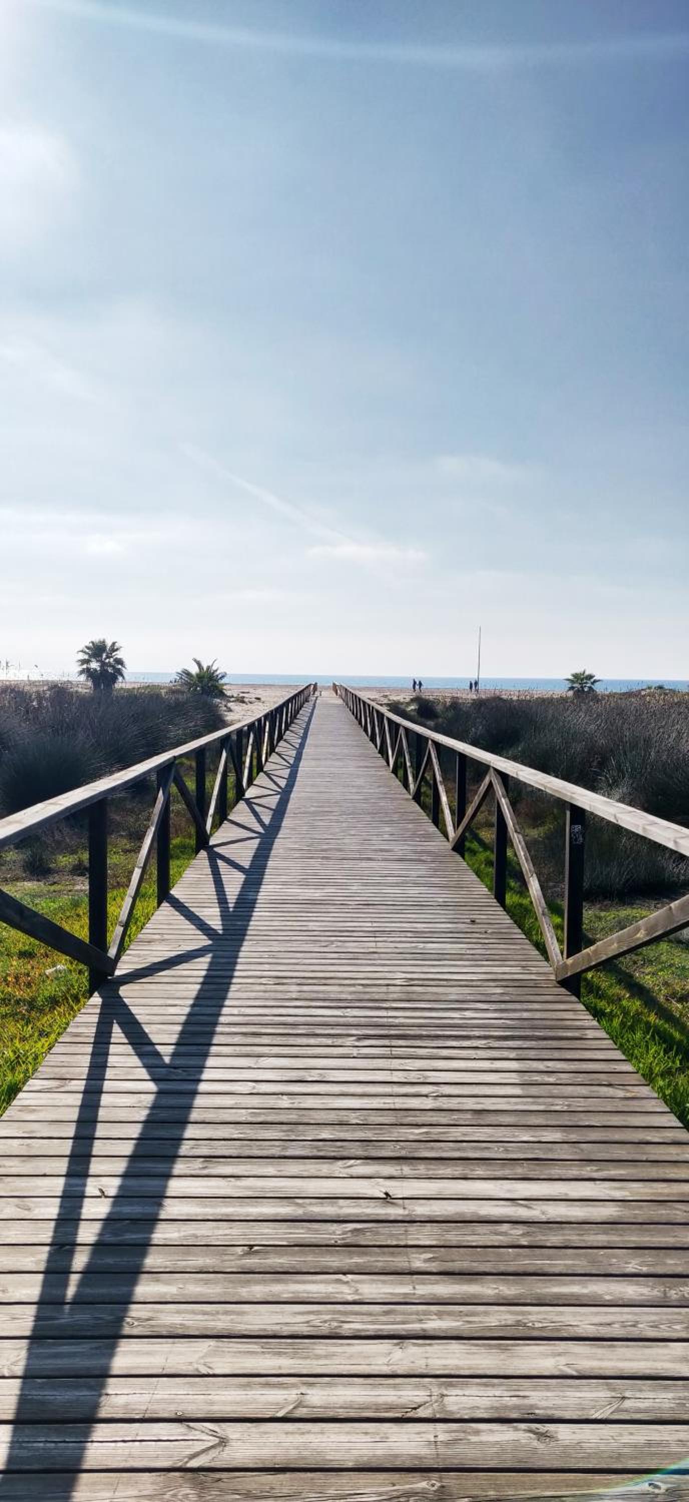 Gemini Conil
