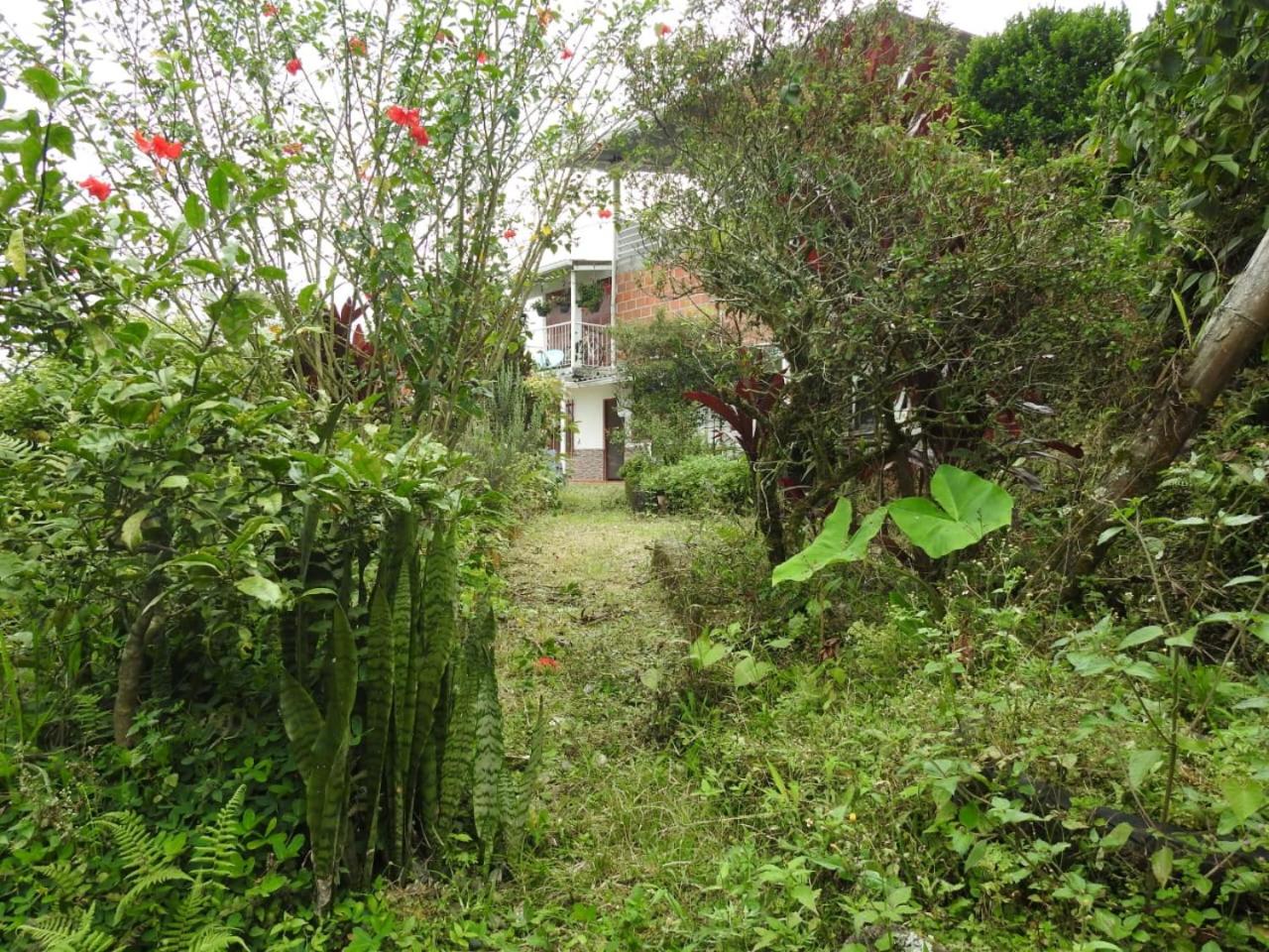 FINCA LA BENDICION