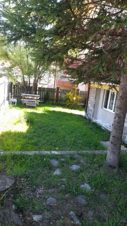 Photo 46