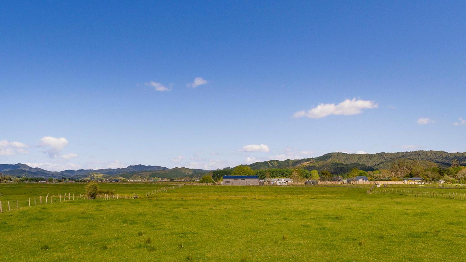 Blue Bach view 3