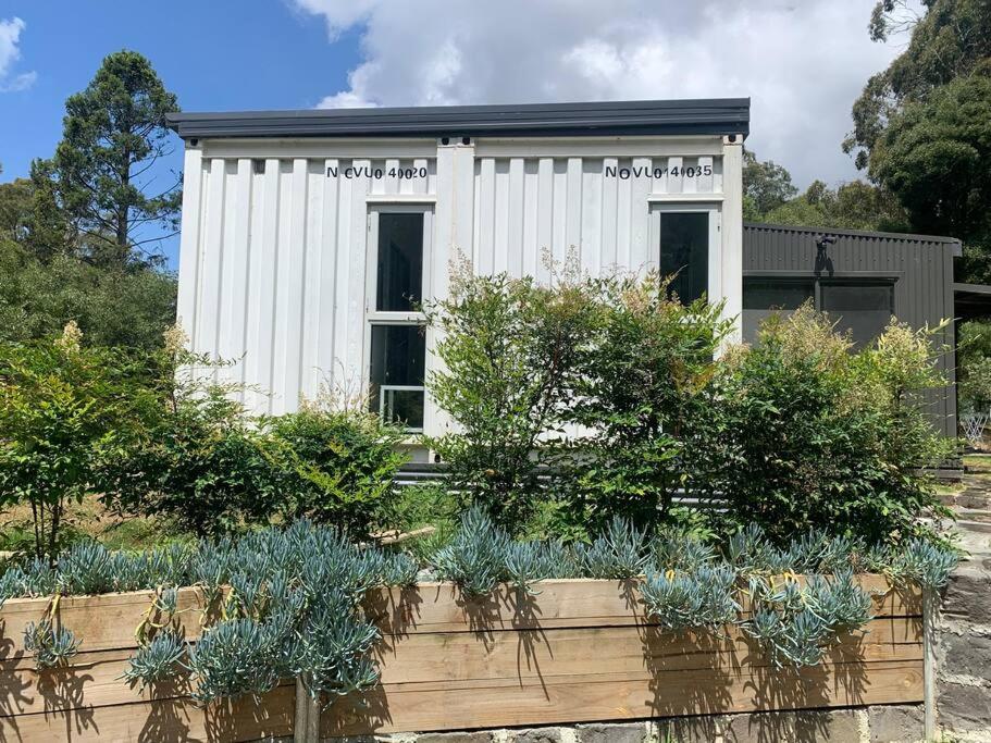 The Container House