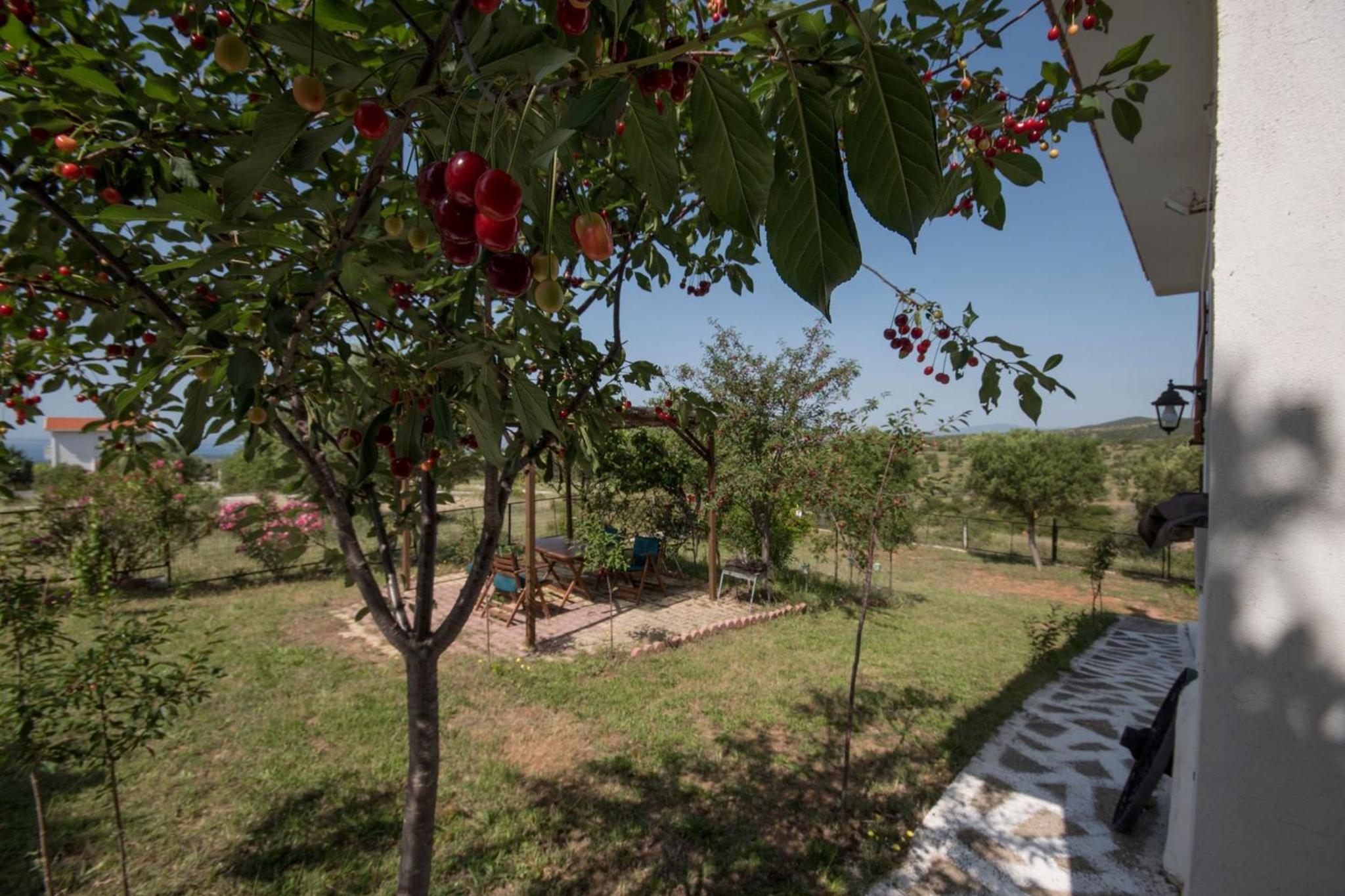 Gerakini detached house with panoramic sea views view 2