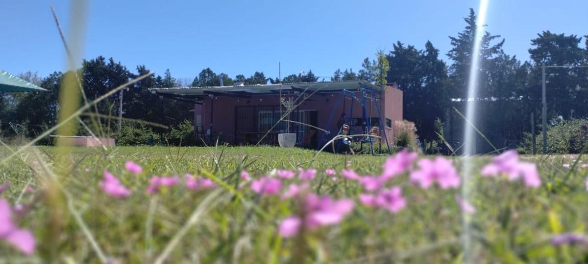 La Magnolia SP