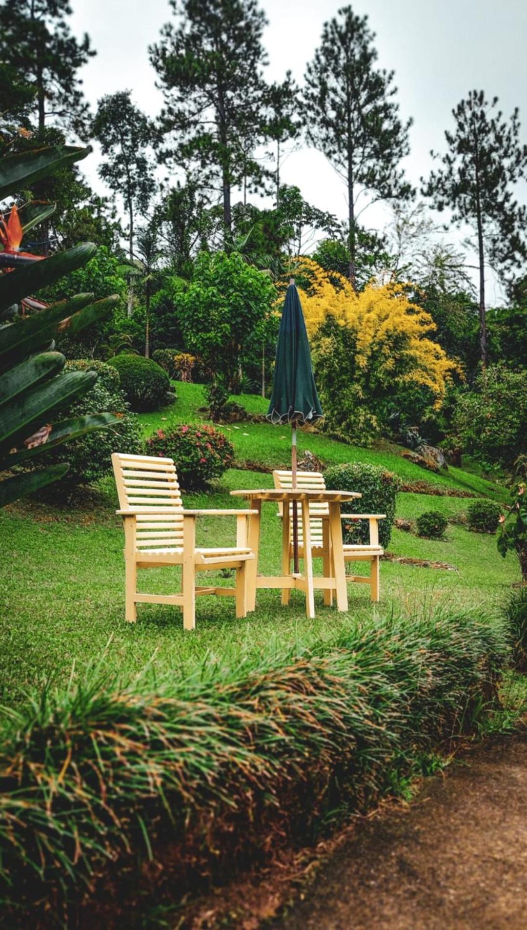 Chalé da Cachoeira - Cachoeira particular dentro da hospedagem