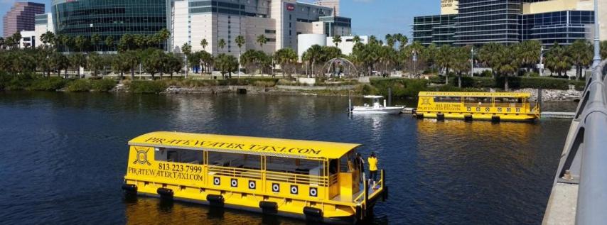 Spacious Vacation Rental in the Heart of South Tampa