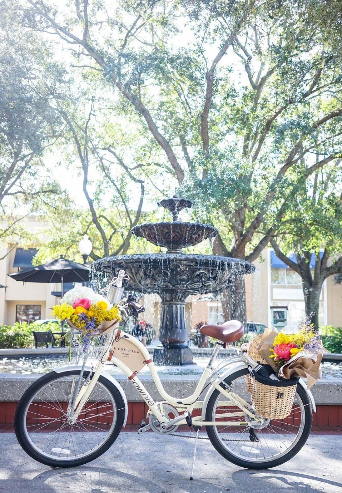 Spacious Vacation Rental in the Heart of South Tampa