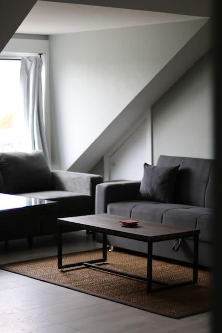 Unique modern luxury 2 bedroom apartment rental