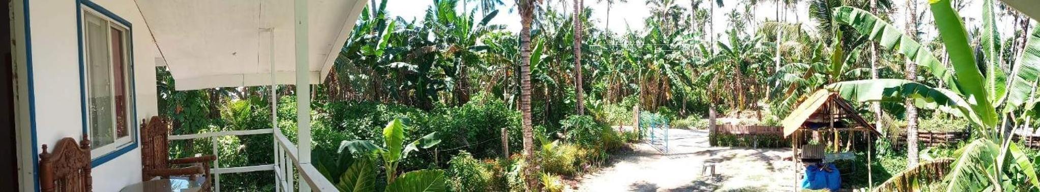 Bayay ni Nanay Bed & Breakfast in Magpupungko Beach Road view 5