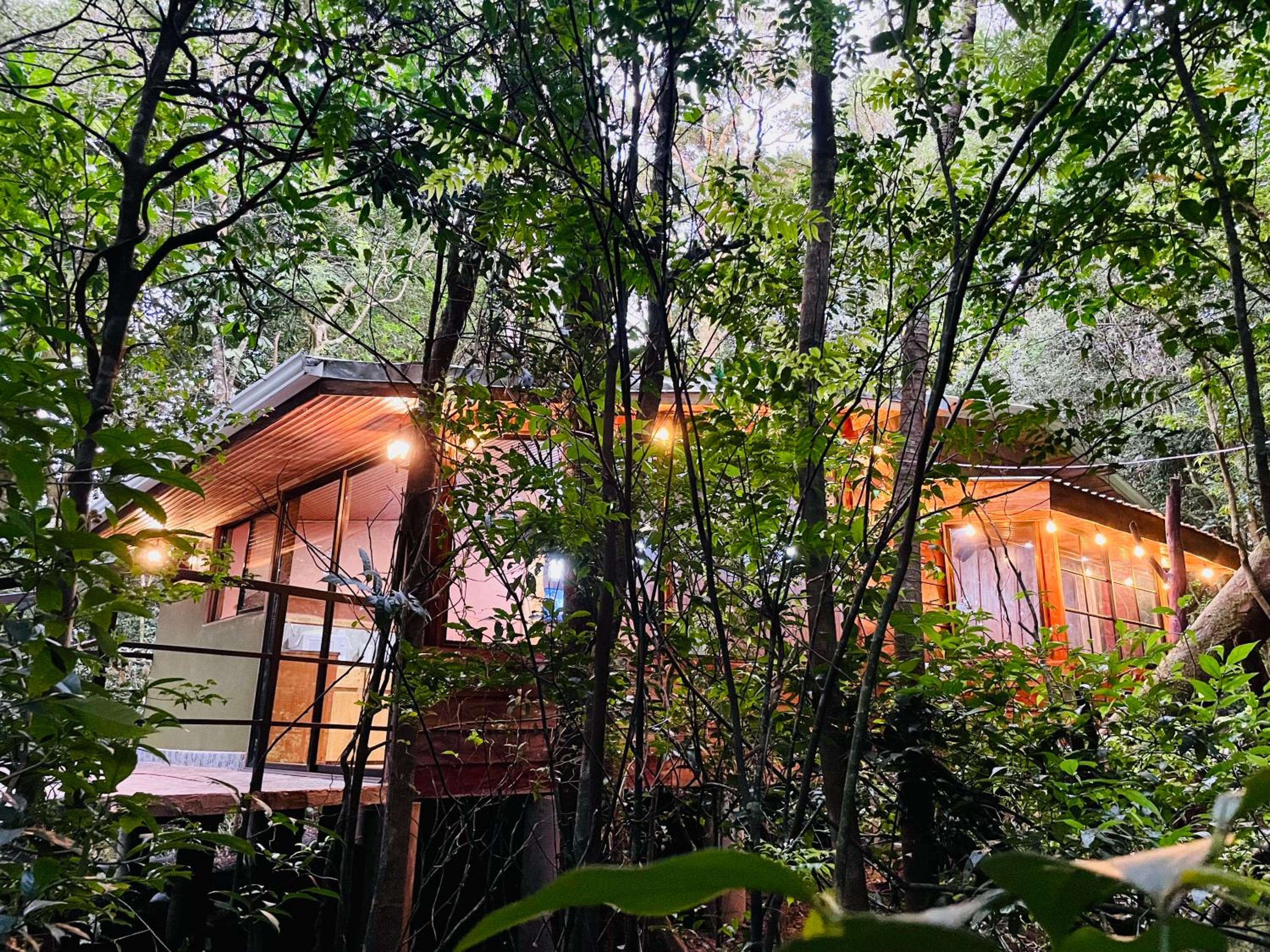 Cabañas La Montaña