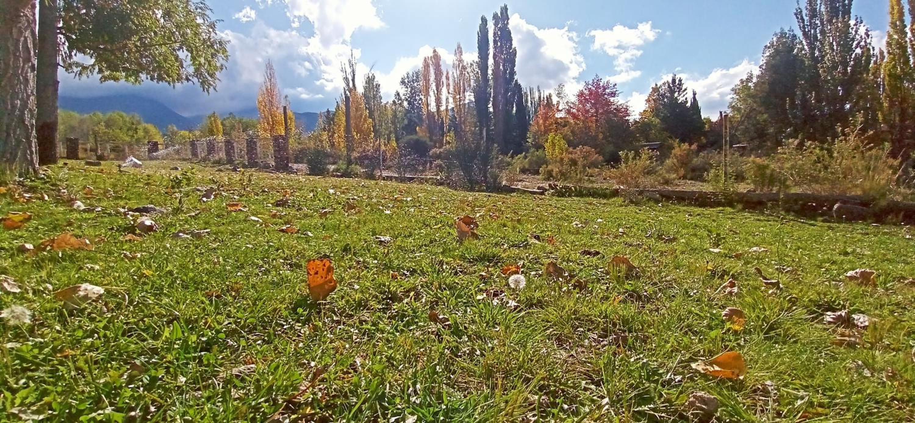 Esencia Cabaña