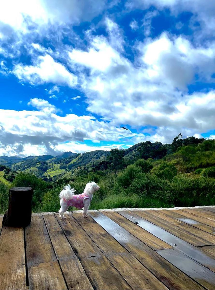 Casa ecológica na montanha com vista para o vale