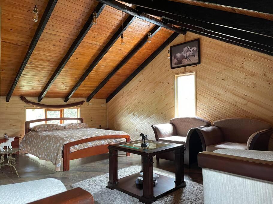Acogedora Cabaña Chalet en Medio de la Naturaleza