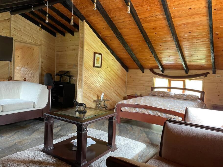 Acogedora Cabaña Chalet en Medio de la Naturaleza